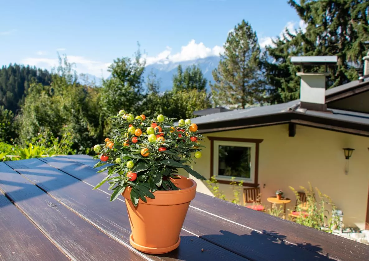 BBQ area with mountain view