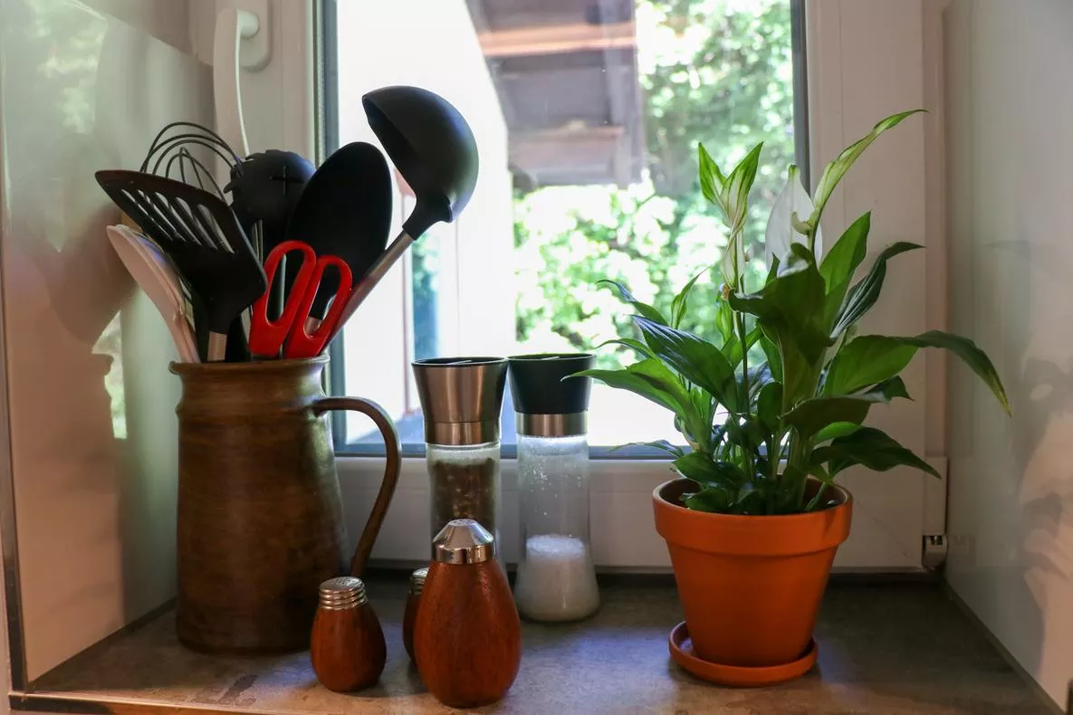 Kitchen utensils on windowsill