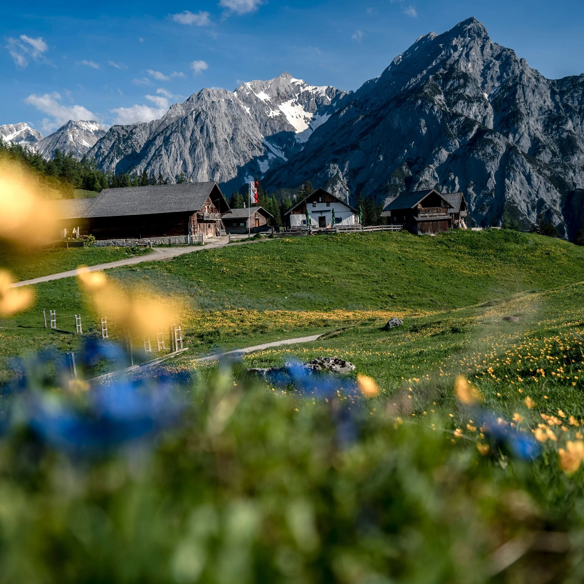 Frühling in der Region Hall-Wattens